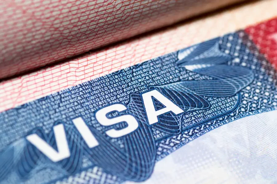 close up on a h1b visa to represent PWD processing times